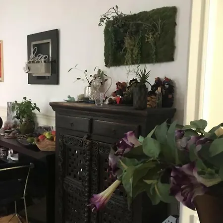 44 Rue Saint-placide Appartement Paris